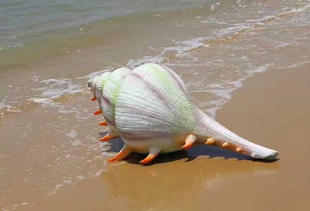 玻璃钢仿真海螺雕塑
